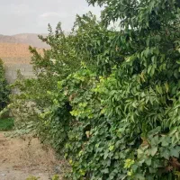 خانه ویلایی