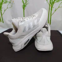 کفش اسپرت|کیف، کفش، کمربند|گنبد کاووس, |دیوار