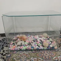 آکواریم ماهی|ماهی|الوند, |دیوار