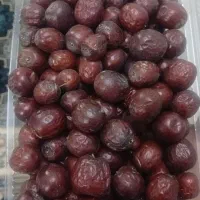 محصولات ارگانیک خراسان جنوبی