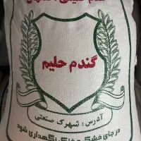 گندم حلیمی