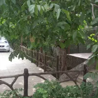 خانه اجاره لاله‌زار کرمان|اجارهٔ خانه و ویلا|لاله زار, |دیوار