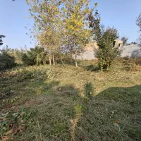 فروش یک قطعه زمین ۴۰۰ متری با کاربری مسکونی|فروش زمین و ملک کلنگی|لاهیجان, بازکیاگوراب|دیوار