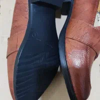 کفش نو زنانه|کیف، کفش، کمربند|دورود, |دیوار