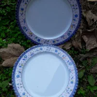 سلام ۲۸ عدد بشقاب گل آبی جدید|ظروف سرو و پذیرایی|ماکلوان, |دیوار