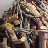 خریدار چوب باغی و هزیزمی ومرکبات گردو سیب و غیره