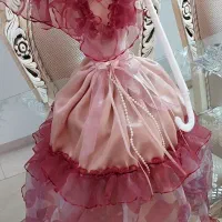 آباژور پرنسس خارجی