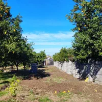 ۶۰۰ متر زمین داخل بافت همراه با پروانه ساخت|فروش زمین و ملک کلنگی|نشتارود, |دیوار