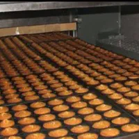 کارخانه تولید کیک و کلوچه