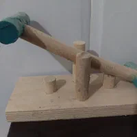 الاکلنگ پرنده