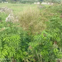 مشارکت در ساخت ۴۵۰۰ متر زمین ساحلی ویو ابدی دریا