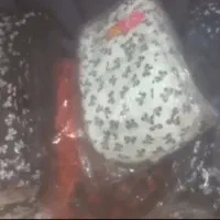 لباس زیر|لباس|ایذه, |دیوار