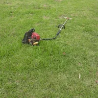 علف زنی حیاط باغ و محوطه