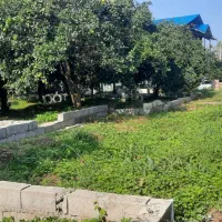 فروش زمین|فروش زمین و ملک کلنگی|دالخانی, |دیوار