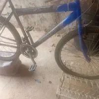 دوچرخه سالم