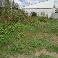 فروش زمین ۱۵۷ متری در پیرکلاچای