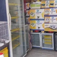 نمایندگی فروش دستگاه جوجه کشی|لوازم جانبی حیوانات|نوشهر, |دیوار