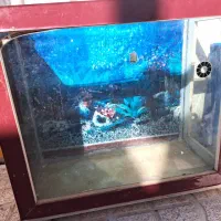 فروش آکواریوم