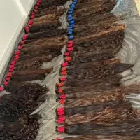 صادرات و خرید و فروش مو