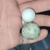 سنگ آسیاب|کلکسیون اشیاء عتیقه|کوهدشت, |دیوار