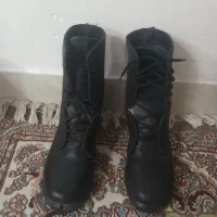 پوتین نو نو شماره 43