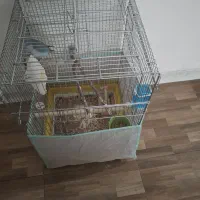 قفس طوطی بزرگ