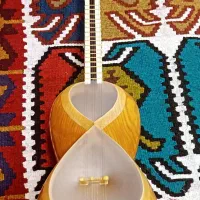 تار حرفه ای (سه مهر یوسف صنعت)|سازهای سنتی|رشت, سعدی (تختی)|دیوار