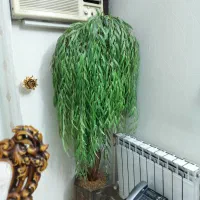 درختچه مصنوعی