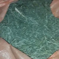 فروش بسته بندی غذای خرگوش (علوفه)