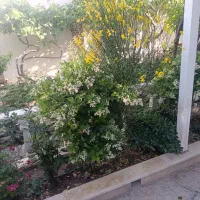 آبیاری قطره ای هوشمند ودستی