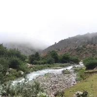 زمین-کشاورزی-فروشی