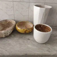 گلدان گل|گل و گیاه طبیعی|قم, نخودی|دیوار