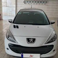 ۲۰۷ پانا مدل1401