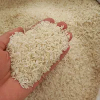 برنج طارم هاشمی ممتاز