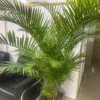 منشی مطب زیبایی