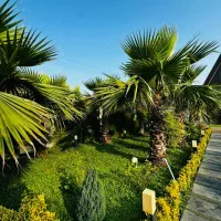 اجاره کلبه استخرروبازدر فریدونکنار برای اولین بار|اجارهٔ کوتاه‌مدت ویلا و باغ|فریدون‌کنار, |دیوار