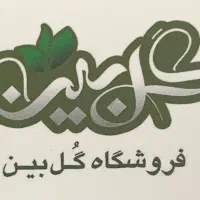 استخدام
