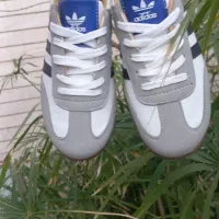 نیازمند چرخکار کفش *پستایی سازی