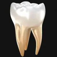 دستیار دندانپزشک