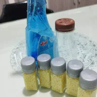 حلزون|خزنده|تهران, نصرت|دیوار