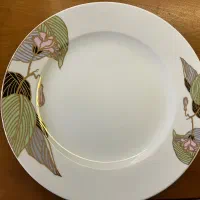 بشقاب چینی