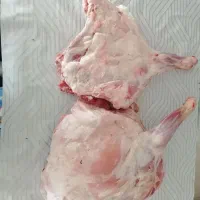 گوشت بره نرینه