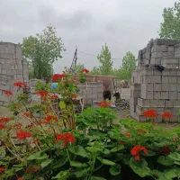 کارگر ملات گیر بلوک زنی در شفت