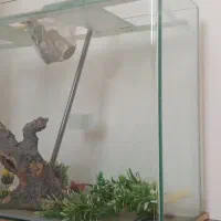 آکواریوم شرکتی بزرگ