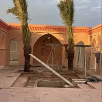 ایجاد فضای سبز زیبا با درخت نخل|خدمات باغبانی و درختکاری|گرگان, |دیوار