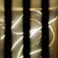 سیم ال ای دی|ریسه و چراغ تزئینی|زنجان, |دیوار