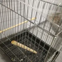 قفس سالم و تمیز|لوازم جانبی حیوانات|مشهد, محمدآباد|دیوار