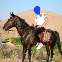 فروش اسب فوق العاده