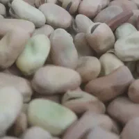 باقالی|خوردنی و آشامیدنی|نیشابور, هفده شهریور|دیوار