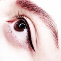 شگفتانه آرایش دائم (آخرین فرصت) میکرو ابرو شید لب|خدمات آرایشگری و زیبایی|مشهد, شهید فرامرز عباسی|دیوار